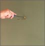 Step 2 - Fitting Wall Attachment
